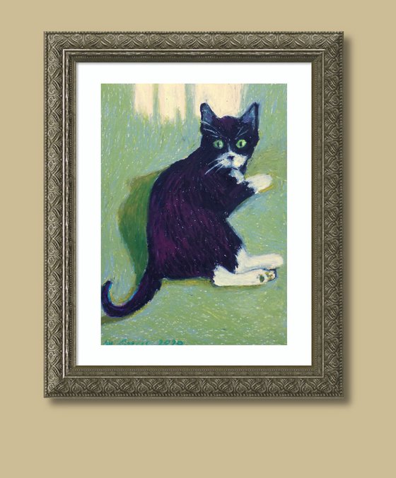 Kitty Cutefur Whitesocks