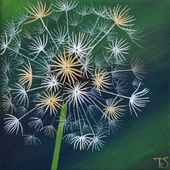 Wild Star