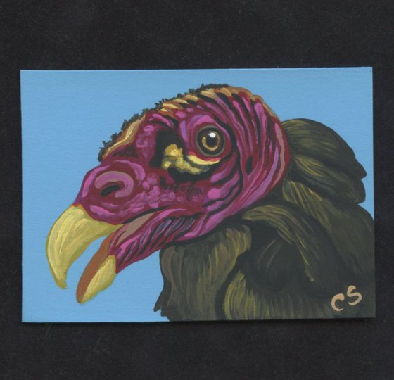 ACEO ATC Original Painting Turkey Vulture Wildlife Bird Art-Carla Smale