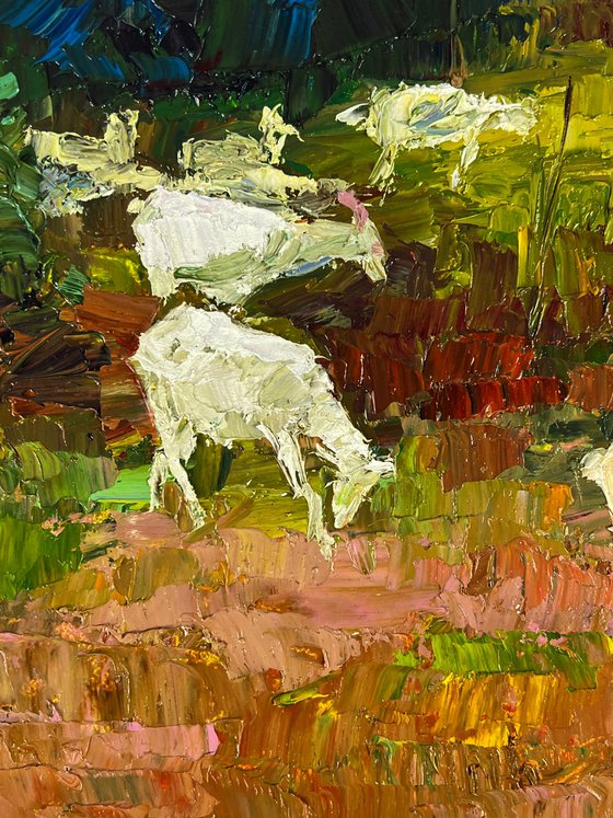 White Goats in the Meadows