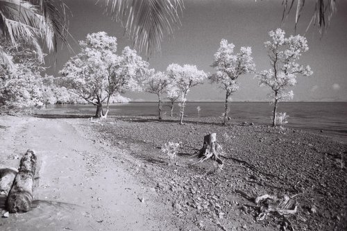 The invisible world series. Thailand in Infrared by Delnara El