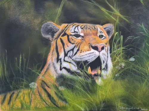 ,, Tiger'' realism cat pastel on pastelmat by Deimante Bruzguliene