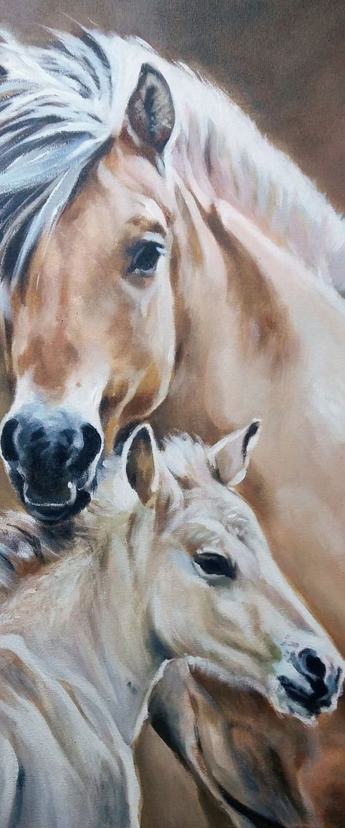 Fiord mare with foal by Magdalena Palega