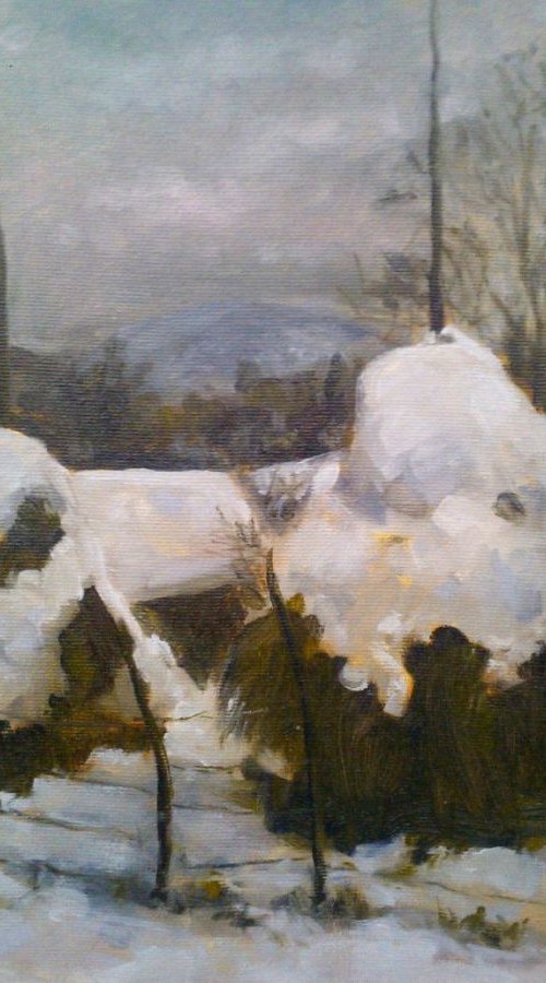 winter in the village by Sebastian Beianu