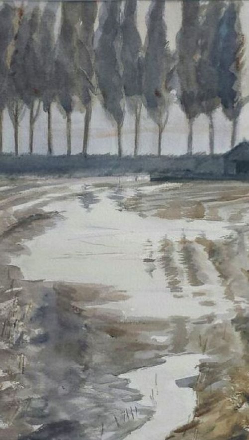 Flooded Fields by Morag Paul