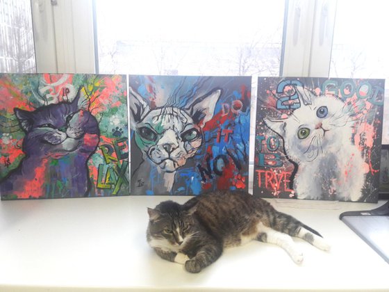 CATS Series