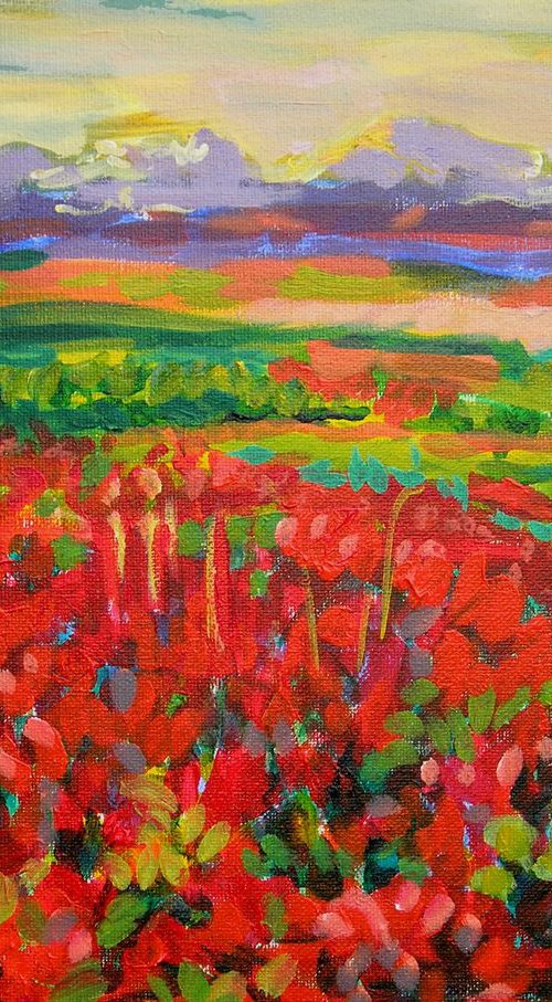 Red field by Maja Grecic