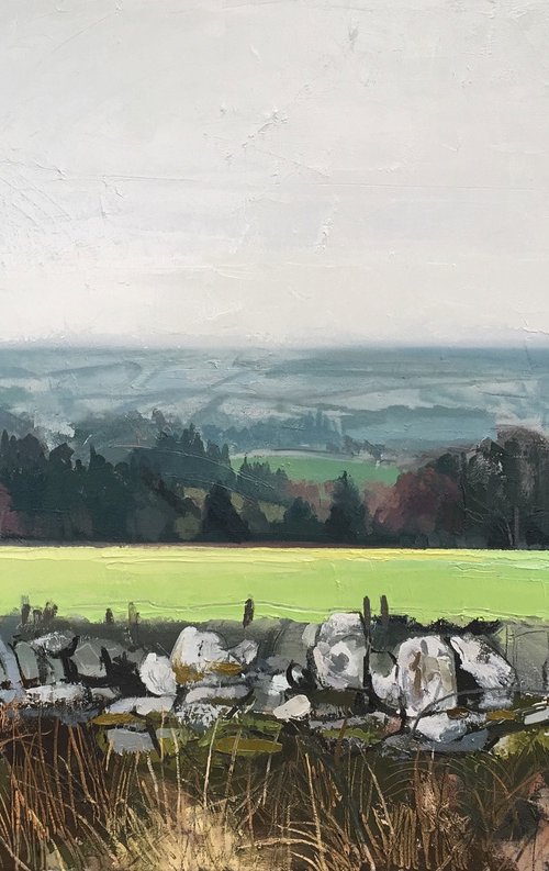Fields of Wicklow by Andrew Newton