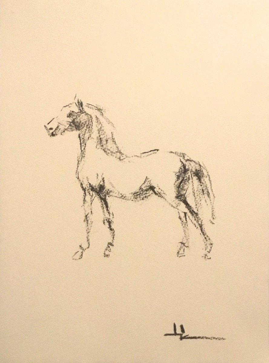 Expressive Animal Charcoal Drawing By Dominique Deve, 9 X 12, Horse Study Insp. Gericault, Original Artwork