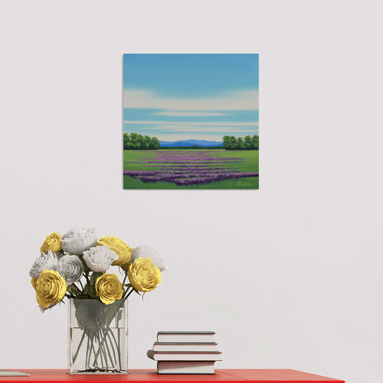 Lavender Field - Flower Field