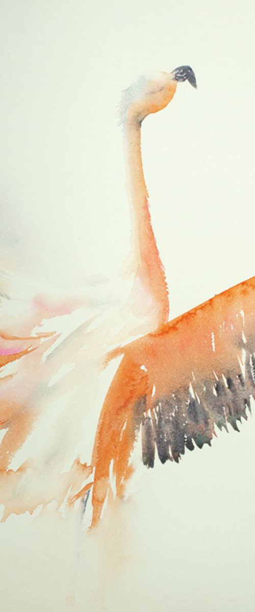 Feathery flourish by Anjana Cawdell
