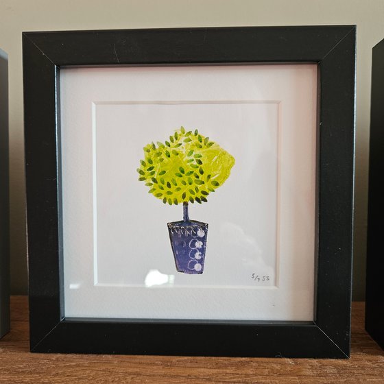 Little Tree