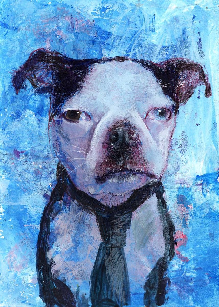 Boston Terrier by Anna Tikhomirova