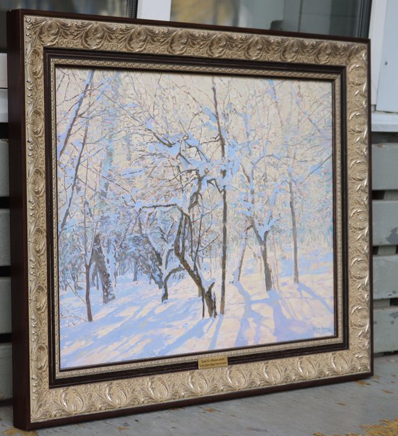 Apple Trees Covered in Snow