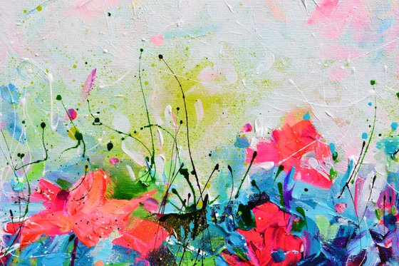 Red Wild Poppies Field at Dusk