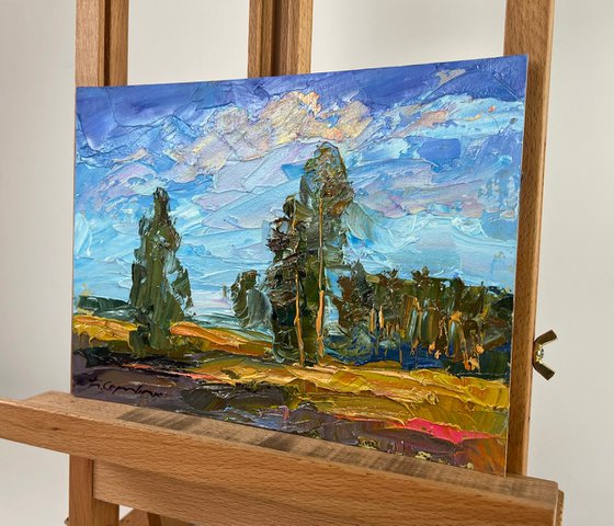 A Day Filled with Sunshine