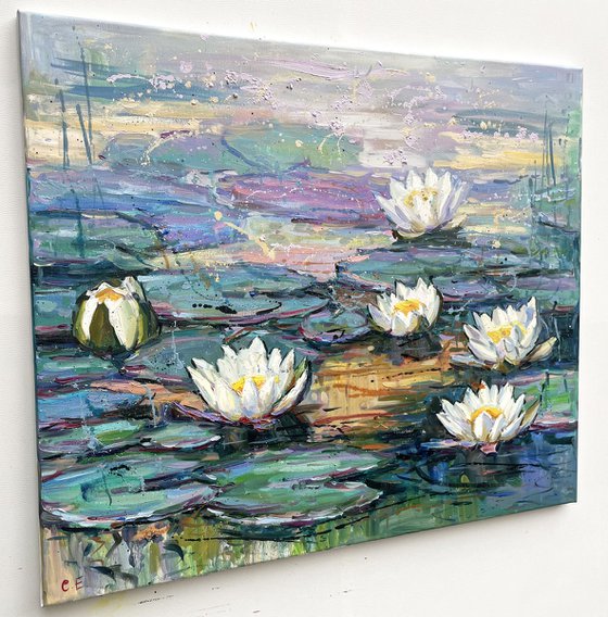"Water lilies"
