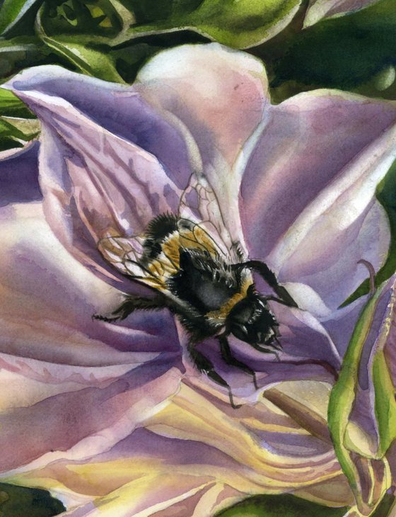 bee with columbine