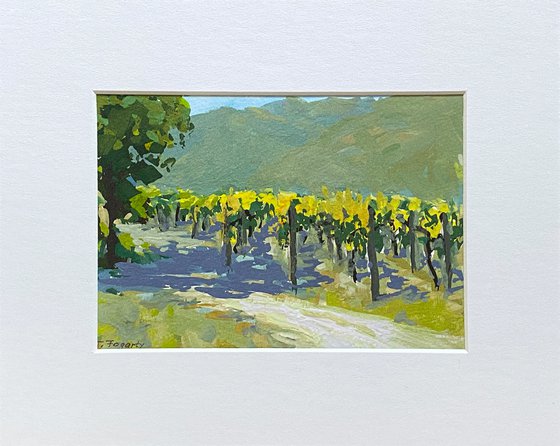 Carmel Valley Vines Landscape