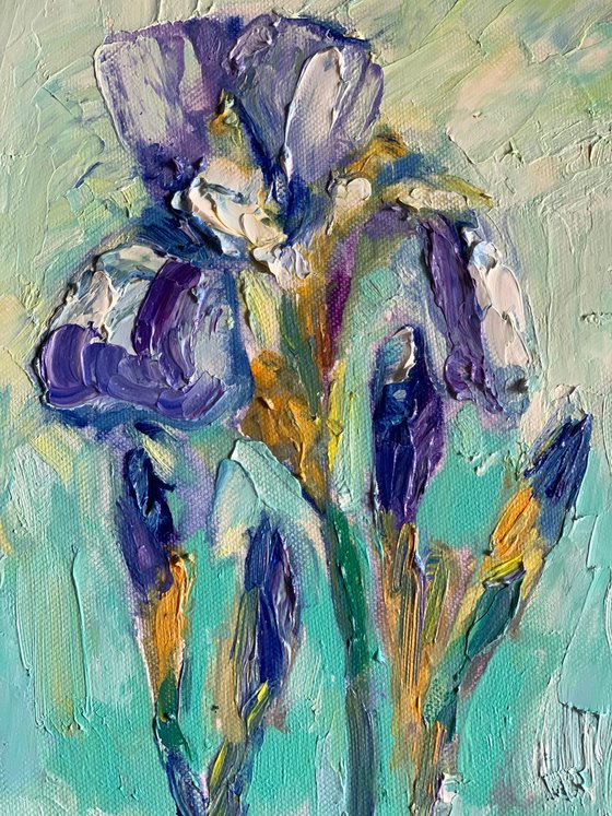 Iris , still life