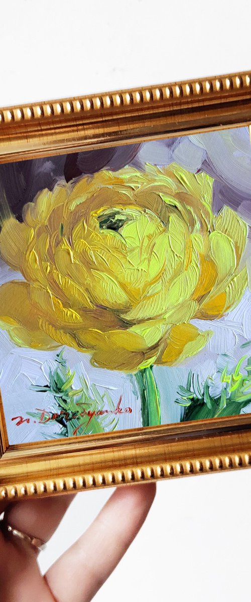 Ranunculus flower by Nataly Derevyanko