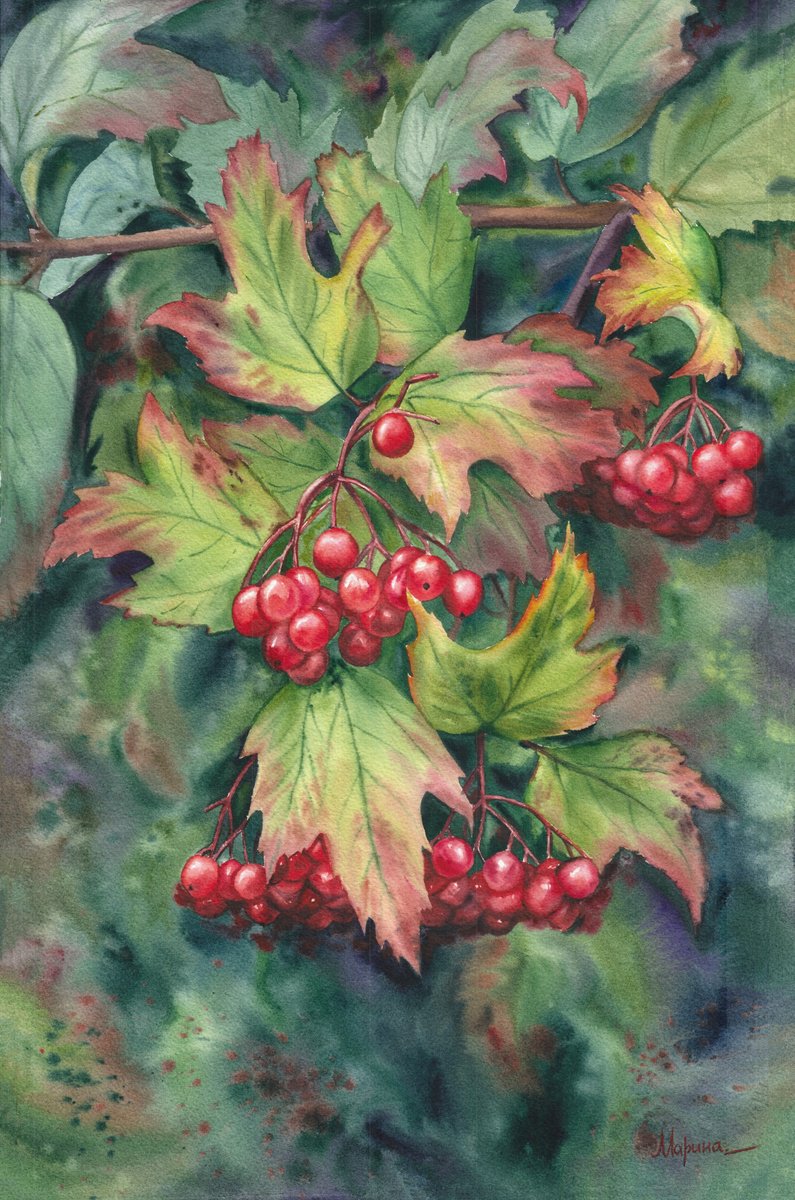 Expressive Watercolour , Viburnum. A Moment Between Seasons By Maryna Boiko, 15 X 22, Artwork For Sale On Artfinder