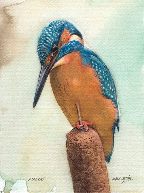BIRD CXCIX - Kingfisher by REME Jr.