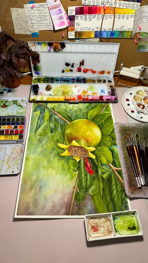 Pomegranate Painting