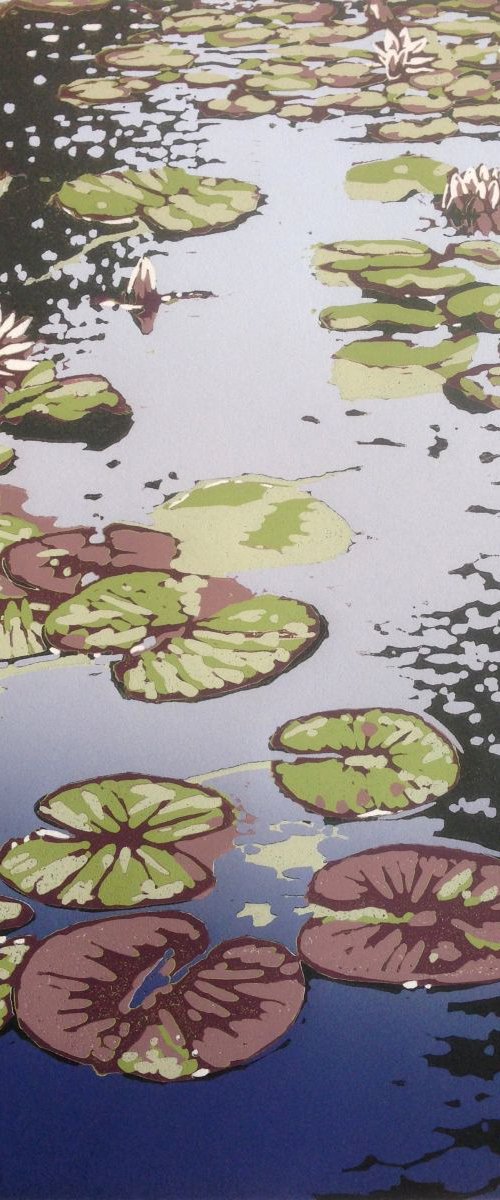 Lily Pond by Alexandra Buckle
