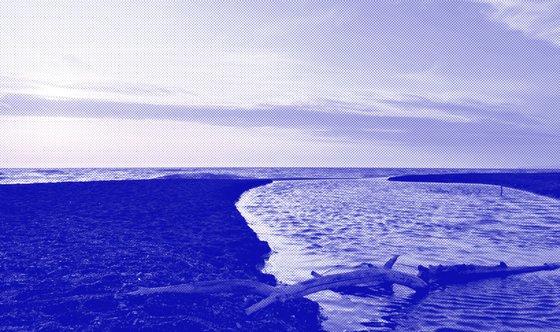 NT#171 Sea #4
