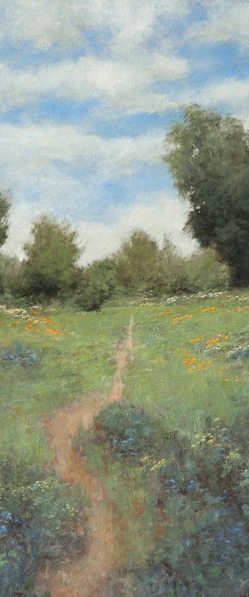 Meadow Path 230806 by Don Bishop