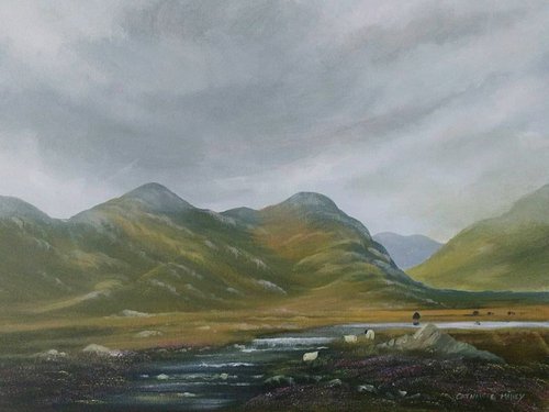 evening light august by cathal o malley