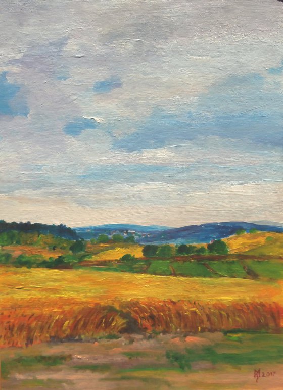 WHEAT FIELD