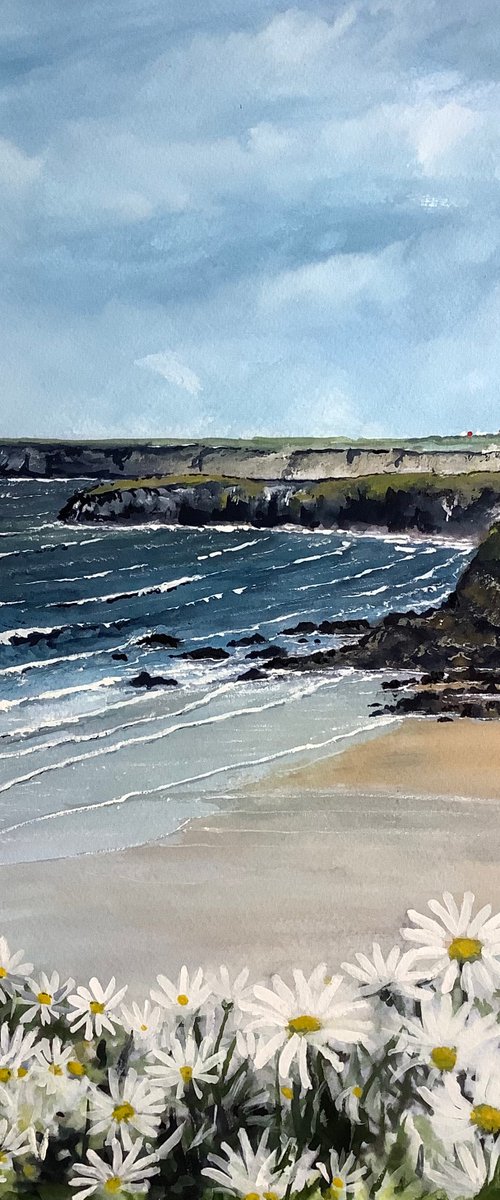 Cornish coast by Darren Carey