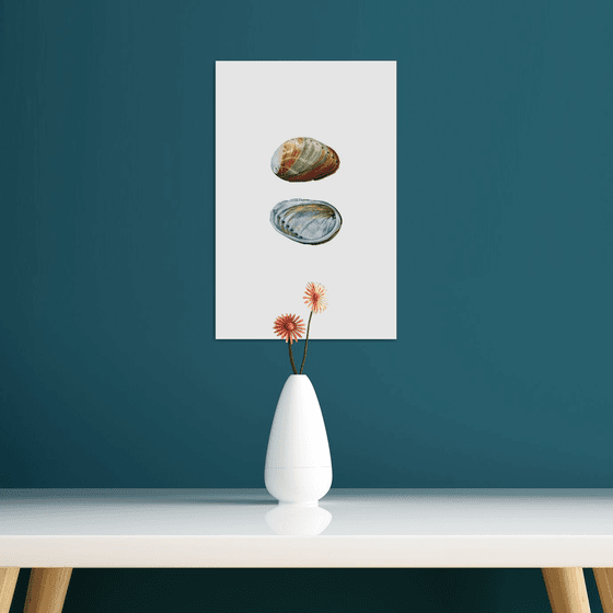 Abalone Shell Study 1