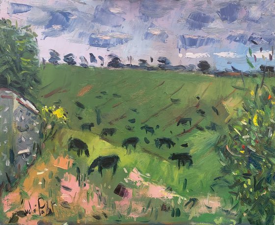 Steers near South Stoke