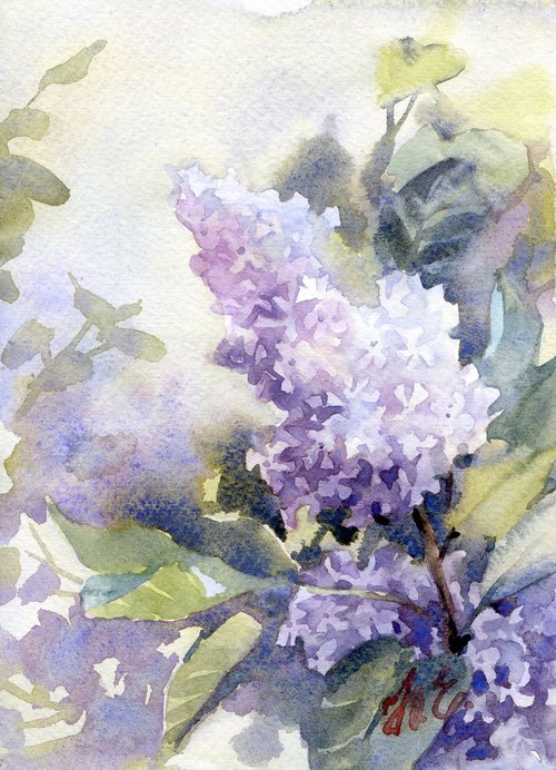 Lilac branch in watercolor by Yulia Evsyukova