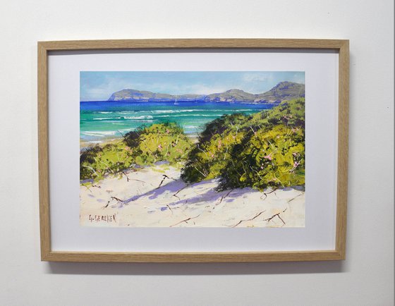 Sandy Beach Dunes