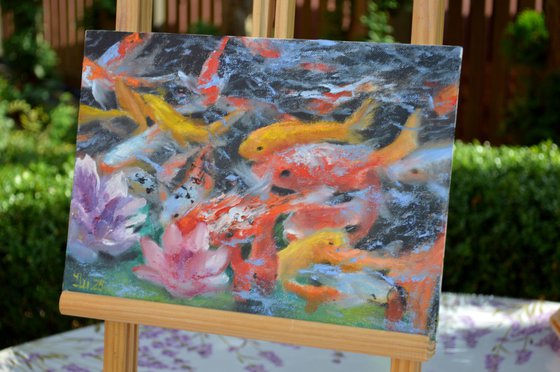 A koi paradise