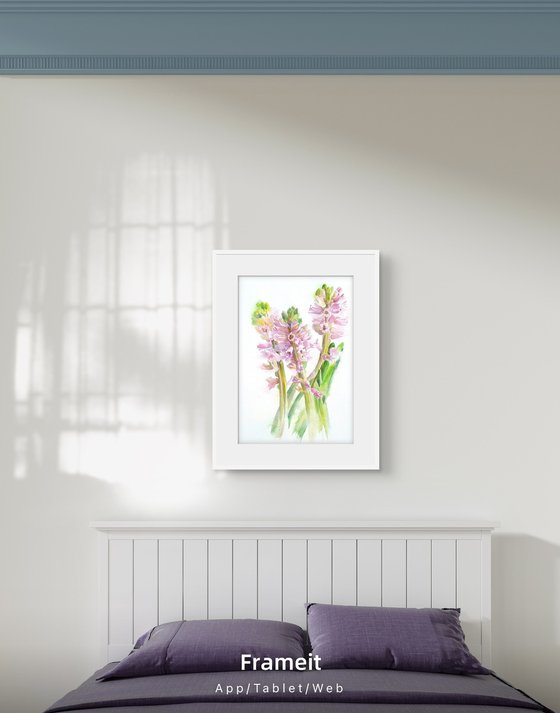 Blush in bloom original hyacinth watercolour