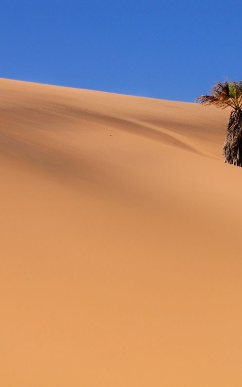 Dune 7, Namibia by Marc Ehrenbold