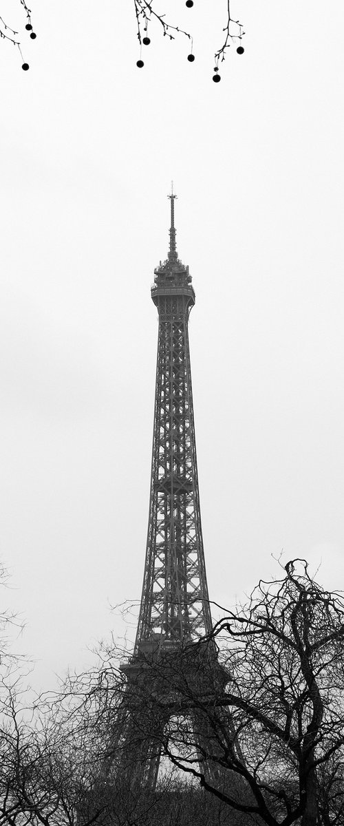 La Tour Eiffel by Elena Raceala