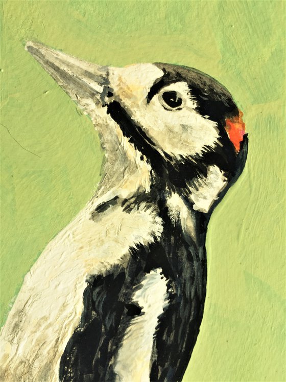 Great Spotted Woodpecker