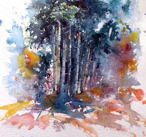 Forest with birds