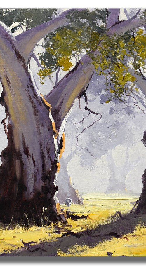 Misty Morning Australian Landscape by Graham Gercken