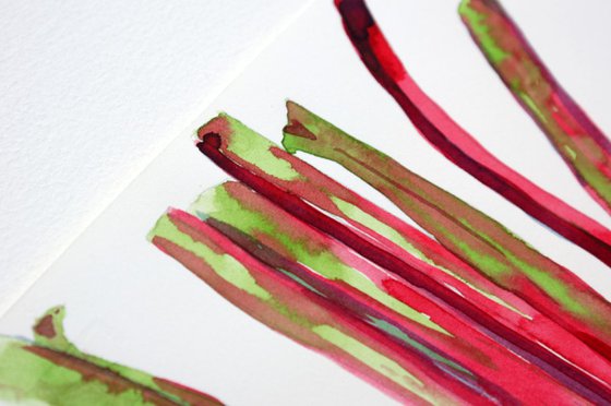 Rhubarb Sticks