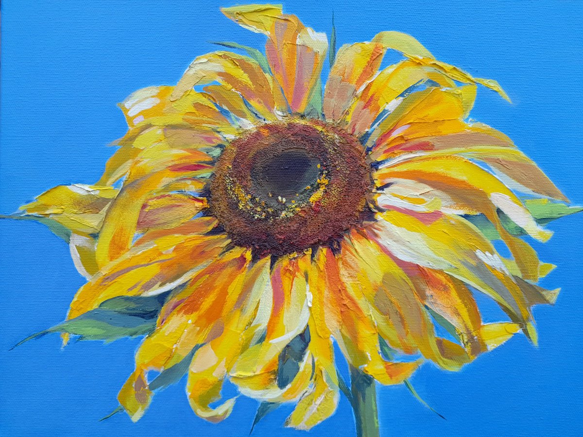 Sunflower, original acrylic painting on canvas by Anjana Cawdell