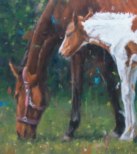 Tenderness - Horse And Foal