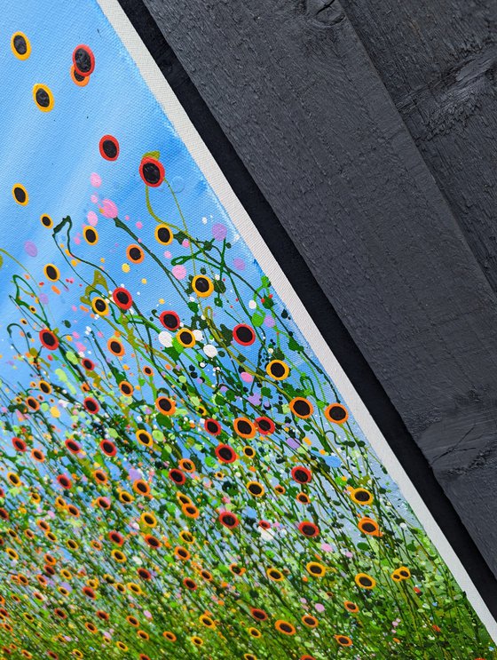 A Symphony Of Poppies #2