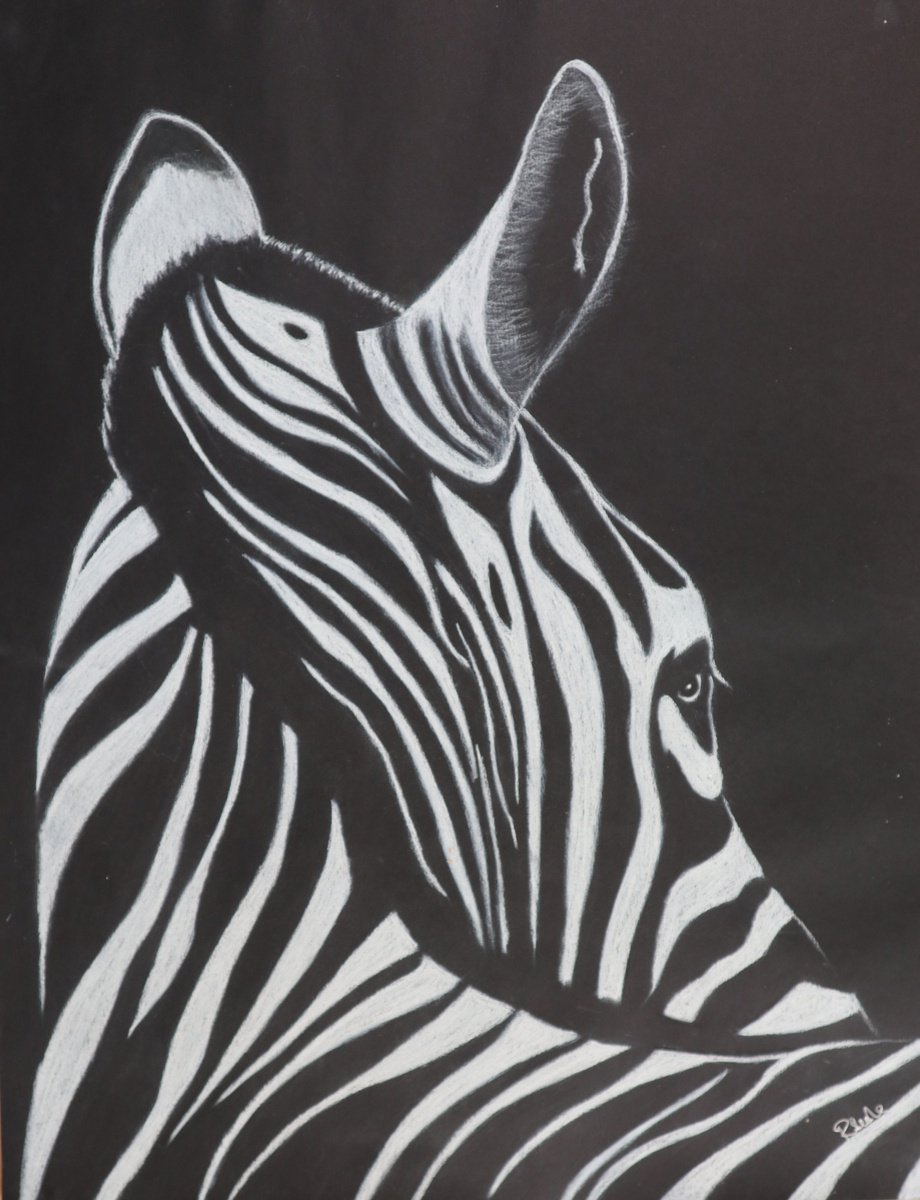 Zebra by Ruth Searle